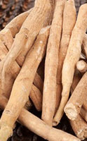 Les 11 bienfaits de l’Ashwagandha