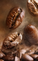 Votre boisson protéinée du matin à l’authentique café Arabica 