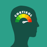 Comment réguler le cortisol : habitudes, plantes adaptogènes et compléments alimentaires