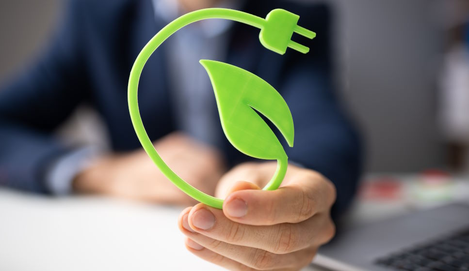 5 compléments pour augmenter votre énergie sans café | Alternatives naturelles