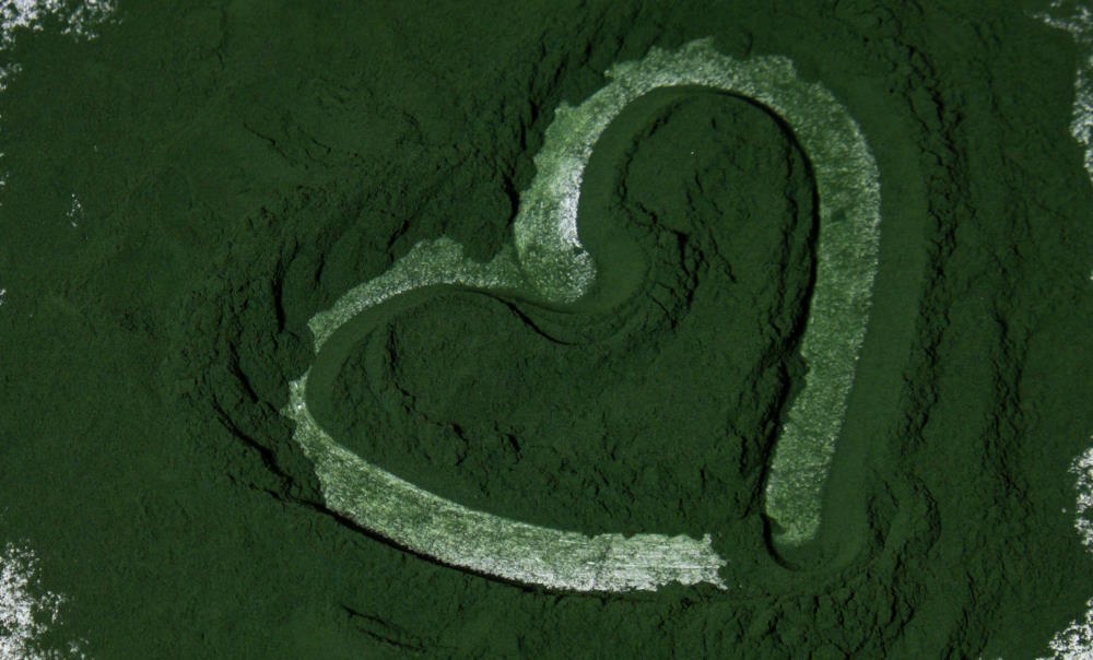 7 bienfaits de la spiruline et quel format choisir