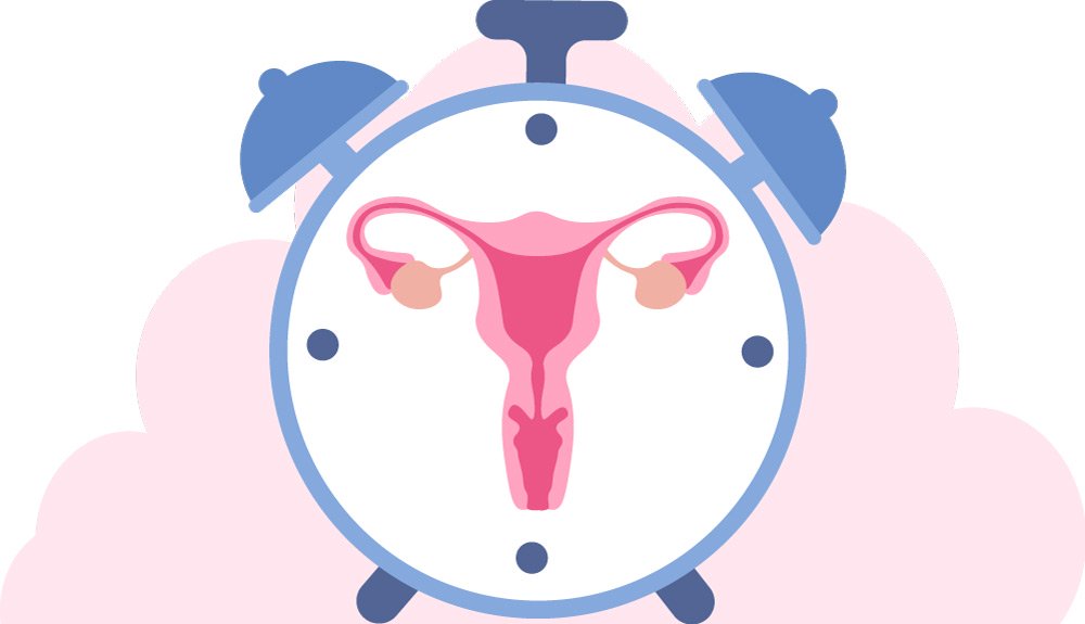 Houblon et Actée à grappes noires : bien-être et repos pendant la ménopause