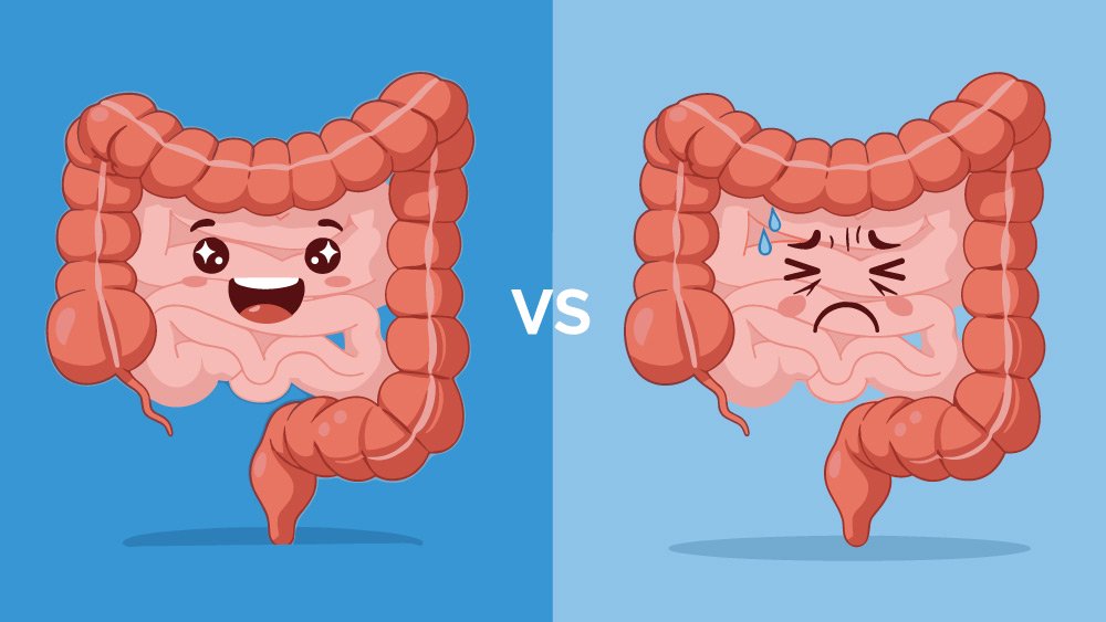 Quand les fibres ne suffisent pas pour le transit intestinal