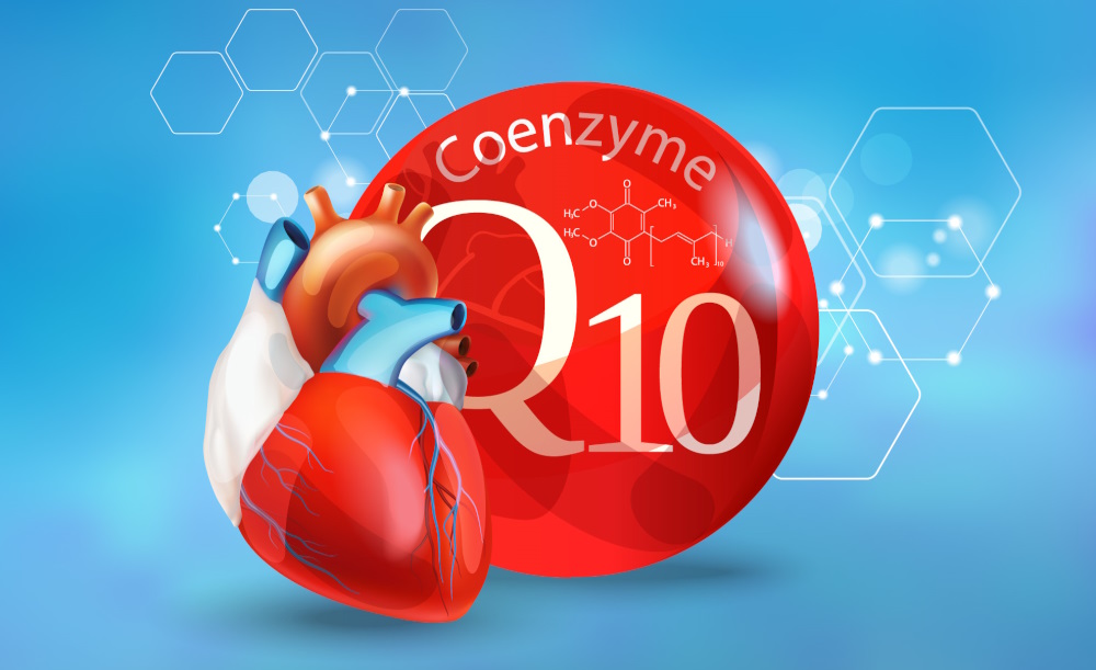 Coenzyme Q10 : pourquoi chez  proposons-nous deux dosages différents ?