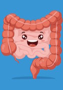 Transit intestinal : au-delà des fibres