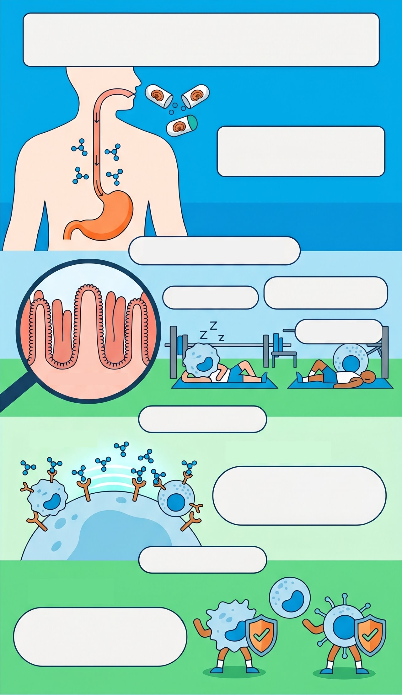 Infografía: entrenamiento del sistema inmune