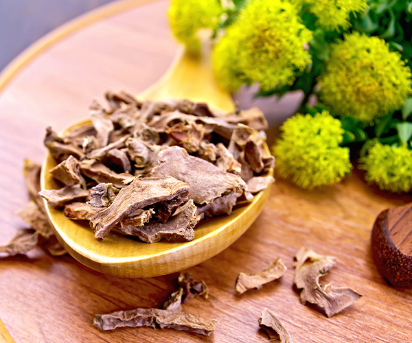 rhodiola