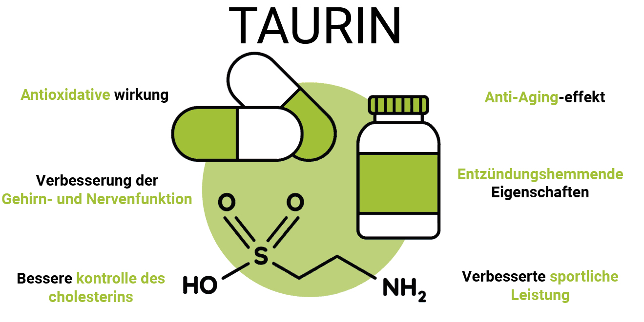 Taurin verlängert das Leben