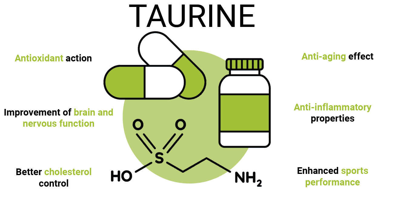 taurine prolongs life