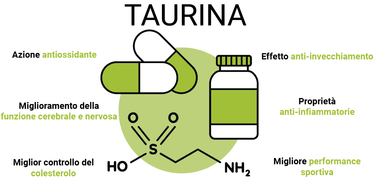 la taurina allunga la vita