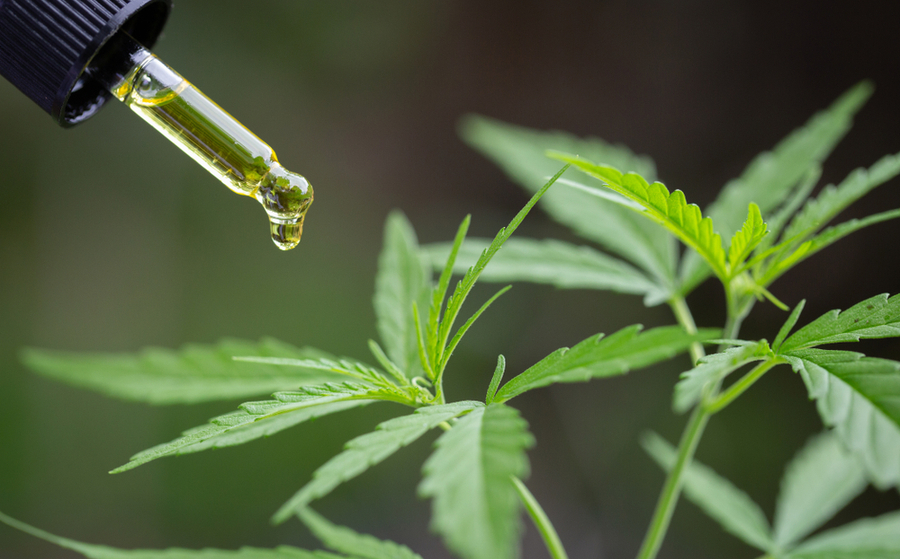 Huile CBD