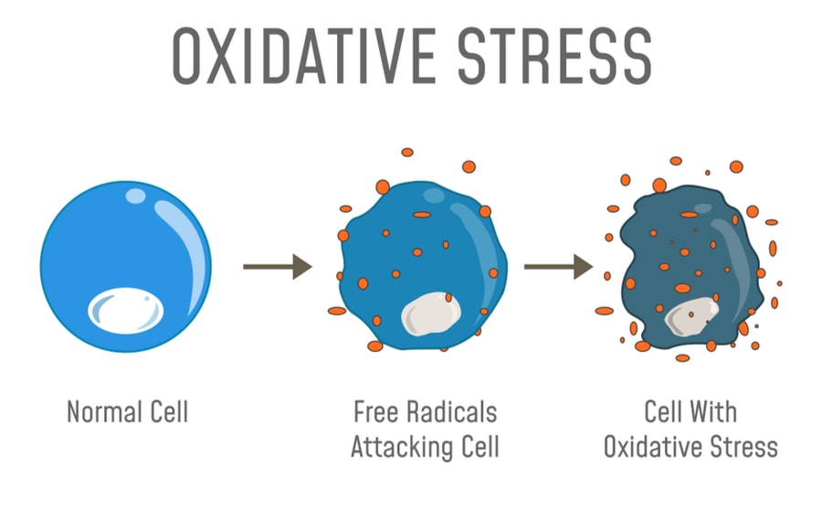 Estres oxidativo