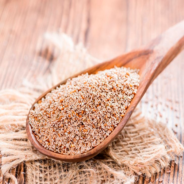 psyllium1