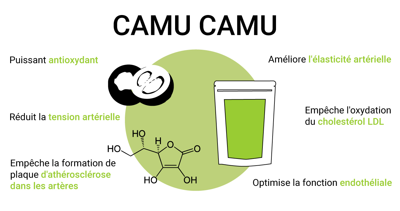 Camu camu et la santé cardiovasculaire