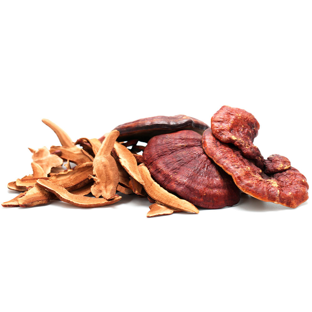 Reishi