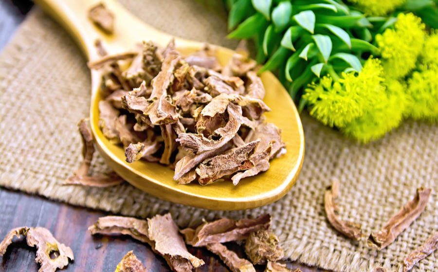 Rhodiola rosea