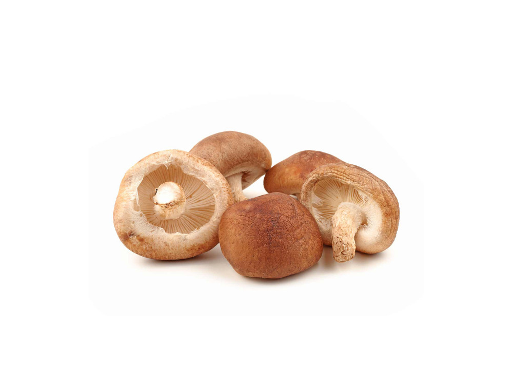 Shiitake