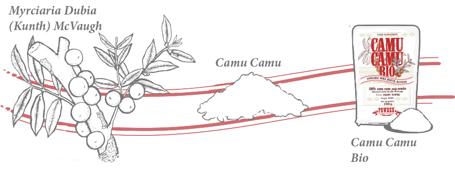 CAMU-CAMU POWDER