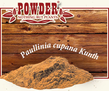 POWDER - GUARANA BIO EN POUDRE