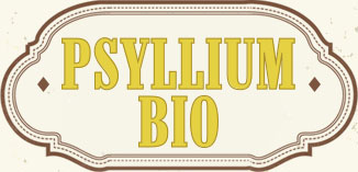 PSYLLIUM BIO EN POUDRE