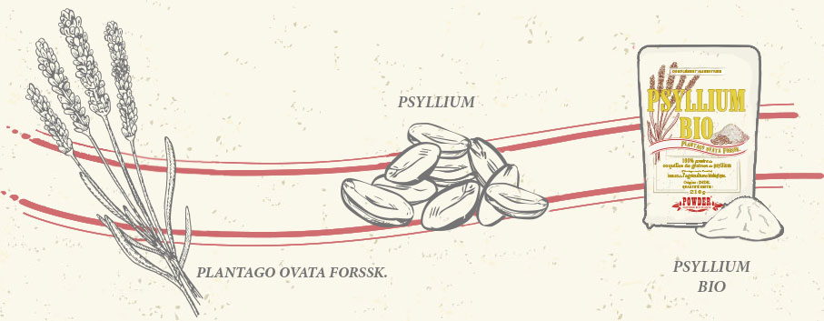 PSYLLIUM BIO EN POUDRE POWDER
