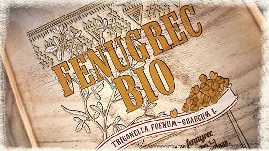 GRAINES DE FENUGREC BIO POWDER