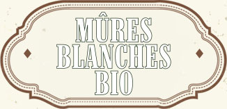 MÛRE BLANCHE BIO