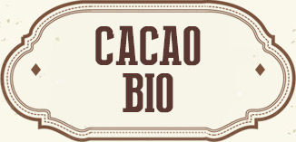 CACAO CRU BIO EN POUDRE