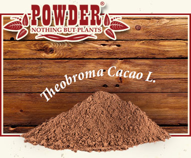 POWDER - CACAO CRU BIO EN POUDRE