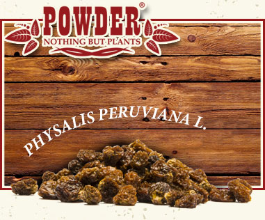 POWDER - BAIES DES INCAS BIO 