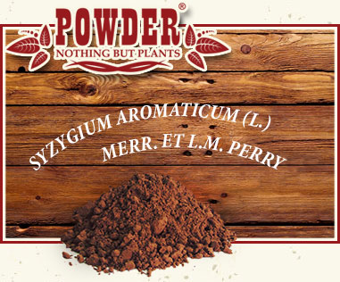 POWDER - CLOU DE GIROFLE BIOLOGIQUE