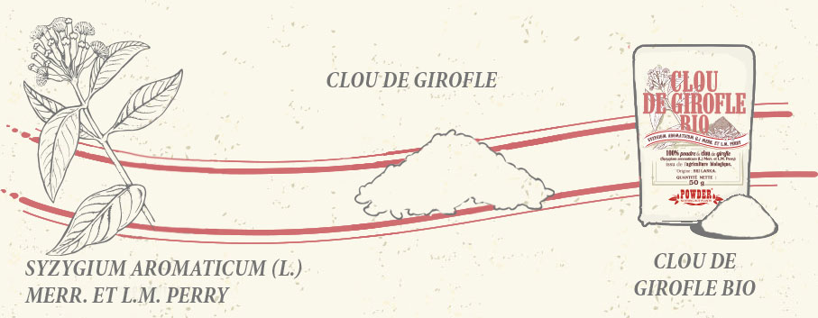 CLOU DE GIROFLE BIOLOGIQUE POWDER