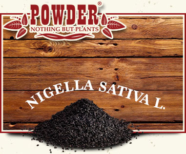 POWDER - CUMIN NOIR
