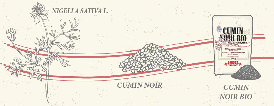 CUMIN NOIR POWDER