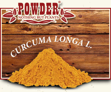 POWDER - CURCUMA
