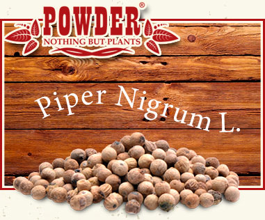 POWDER - POIVRE BLANC BIO