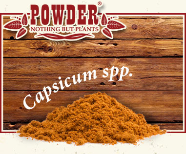 POWDER - PIMENT DE CAYENNE
