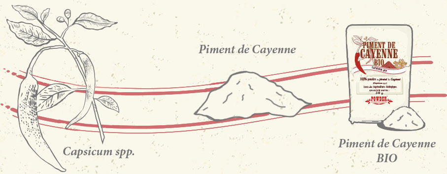 Piment de Cayenne - POWDER - PIMENT DE CAYENNE BIO POWDER