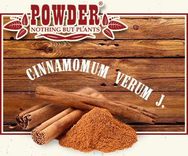 POWDER - CANNELLE