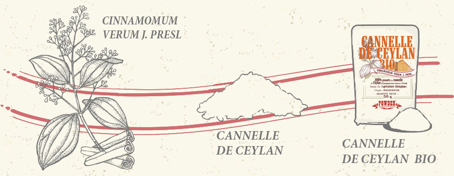CANNELLE POWDER