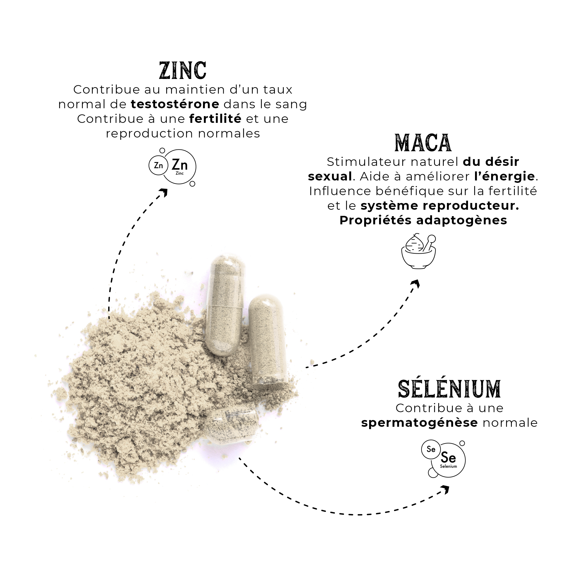 Maca noire