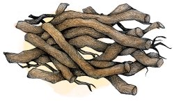 Racine d'Ashwagandha