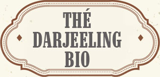 THÉ NOIR DARJEELING BIO