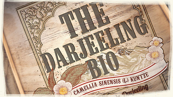 THÉ NOIR DARJEELING BIO POWDER