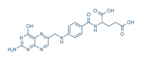 Molécule d'acide folique