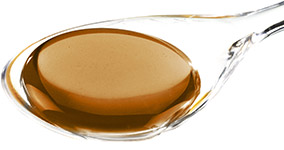 Solution orale d'&Eacute;chinac&eacute;e Bio