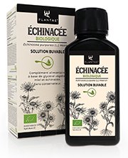 Echinacea