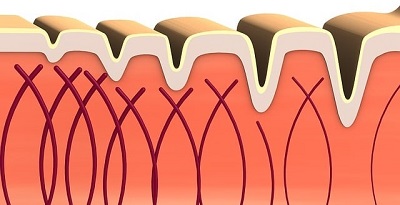 Hidrata &ndash; Protege &ndash; Regenera