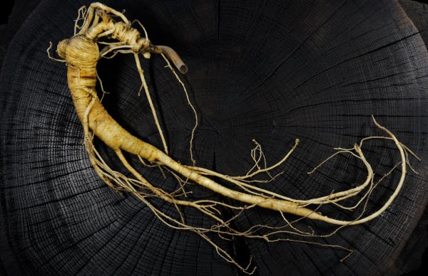 Ginseng
