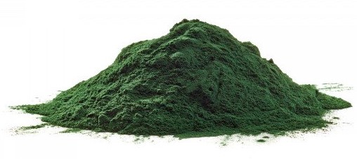 Spiruline